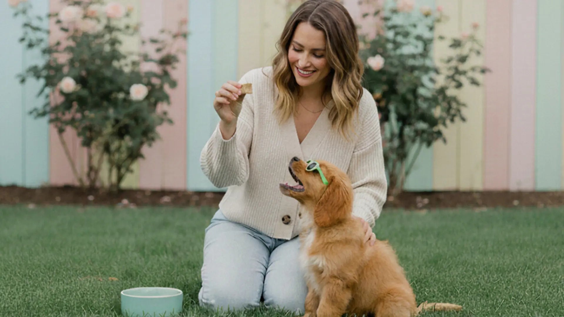 What Makes a Dog Treat Actually Healthy? An Ingredient-First Guide - Good Bark