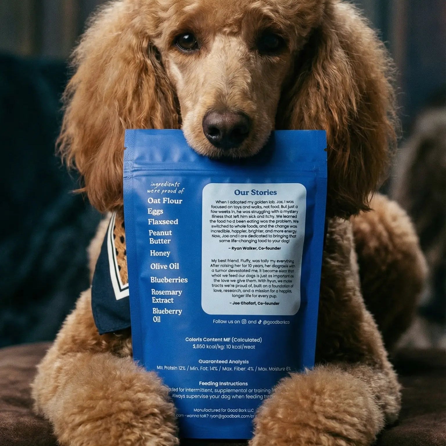 Brown dog holding a Peanut Butter and Blueberry dog treats package with text