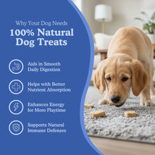 Dog standing on a carpet with natural dog treats and promotional text about the benefits of 100% natural dog treats.