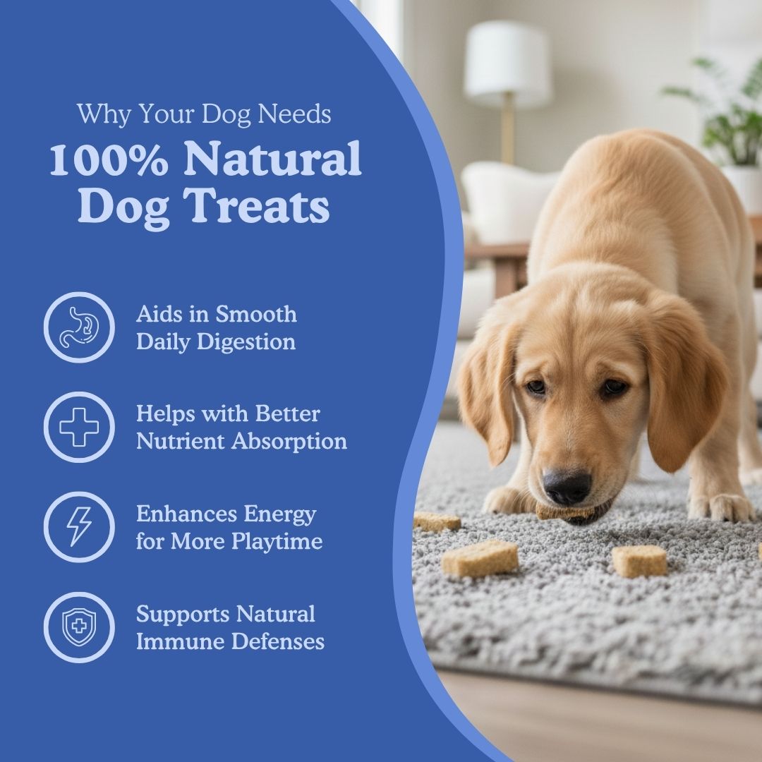 Peanut Butter and Blueberry Treats - Good Bark