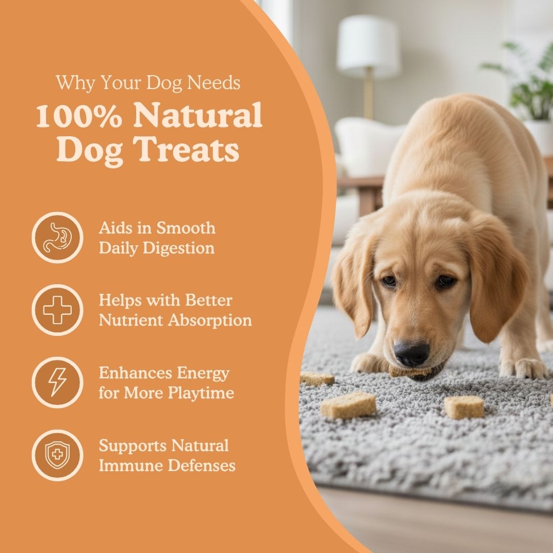 Sweet Potato and Honey Treats - Good Bark