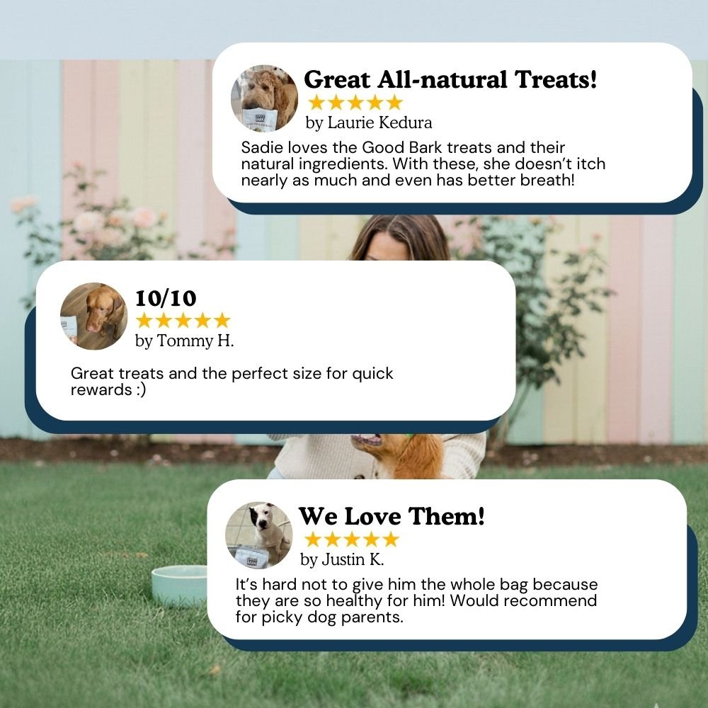 Double Treats Bundle - Good Bark