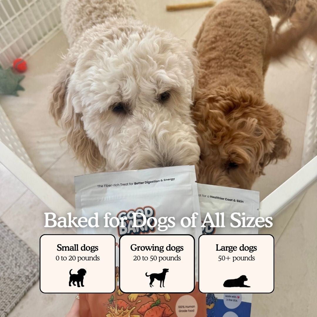 Two dogs with a bag of dog treats and size guidelines displayed.